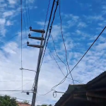 Peligro en Las Palmeras: Tres Días de Chispazos y Electro Oriente Brilla por su Ausencia
